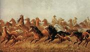 James Walker, Roping wild horses